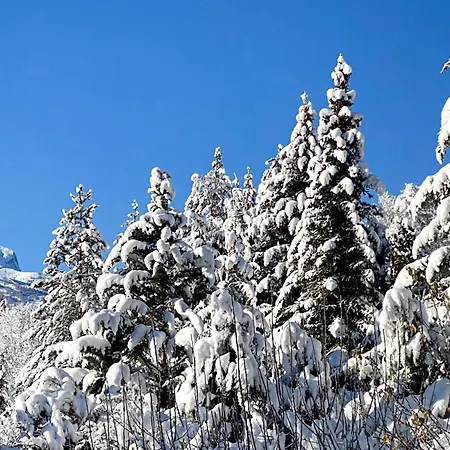 L'intermede & En Toute Amitie - Les De L'argile Appartement *